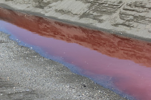赤い汚染水が流れ込むたまり水